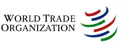 1995年印度加入WTO，開始承認西方國家的藥物專利