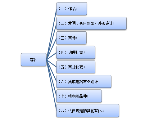 知識產權客體