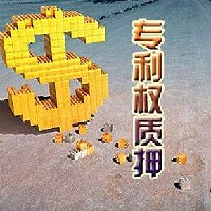如何填寫(xiě)“專(zhuān)利權(quán)質(zhì)押登記變更申請(qǐng)表”？